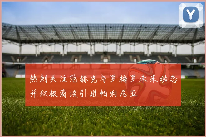 热刺关注范赫克与罗梅罗未来动态并积极商谈引进帕利尼亚
